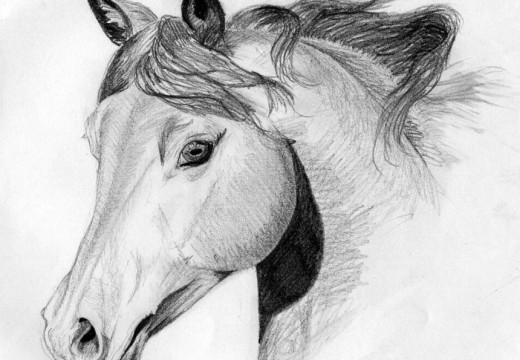 Apprendre à dessiner un cheval
